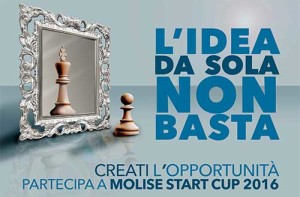 moliste start cup